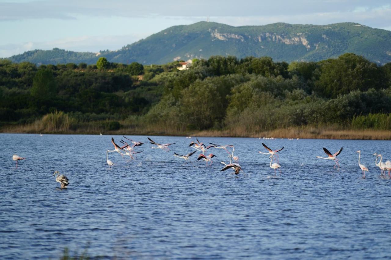 Stefanias Prasoudi Beach Agios Matthaios  Экстерьер фото